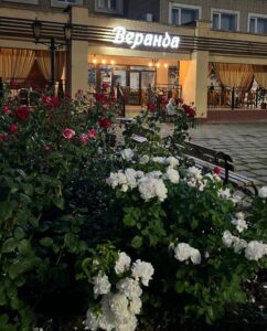 веранда_ (24)